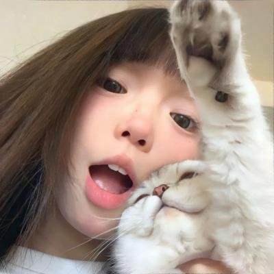 猫王传奇