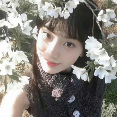 莫札特与鲸鱼：真爱相依